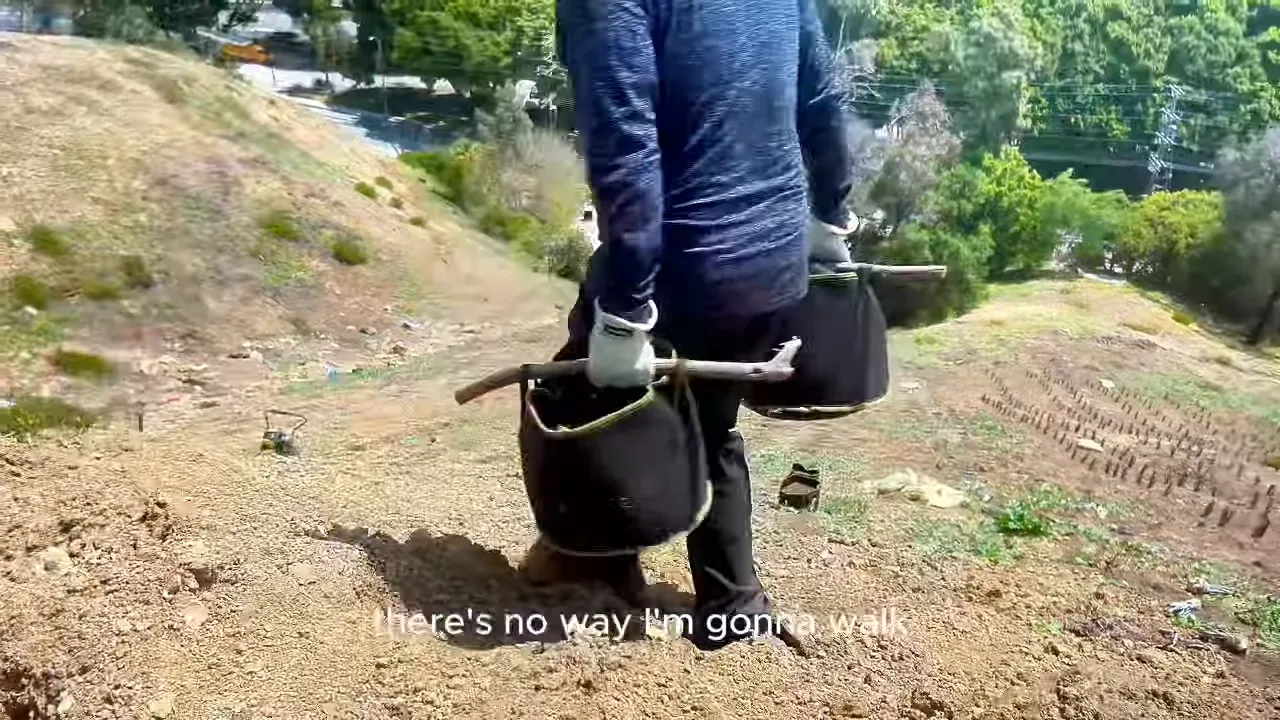 Using tools for planting Agave