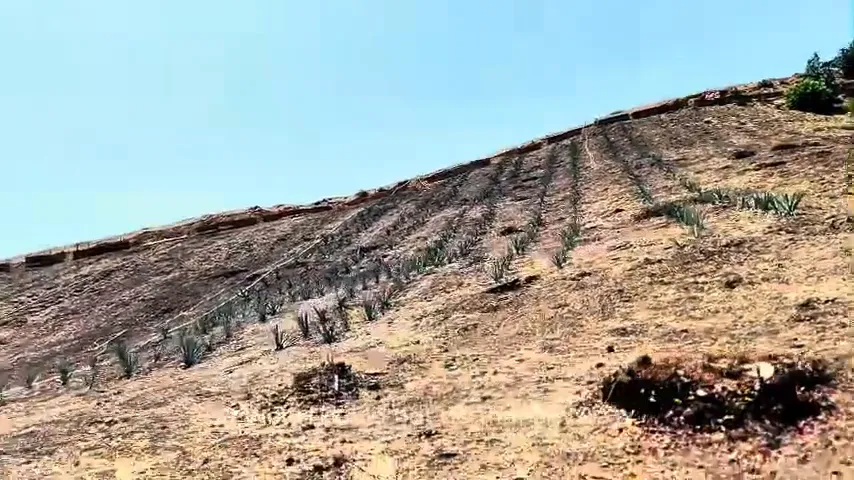 Cole sharing his food preferences