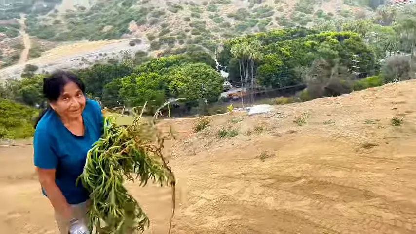 Nani digging holes for ice plants