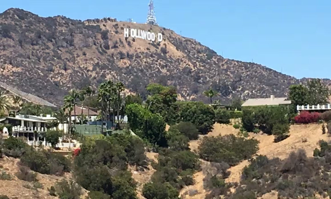 agave farming under the hollywood sign