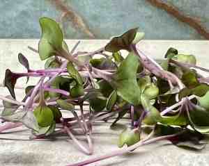 Microgreens Add-On